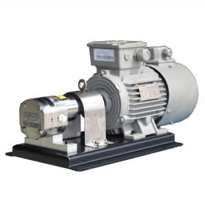 משאבת הילוכים סיבובית מפלדת אל חלד